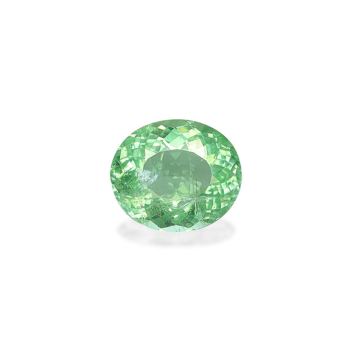 Paraiba Tourmaline 3.80 ct