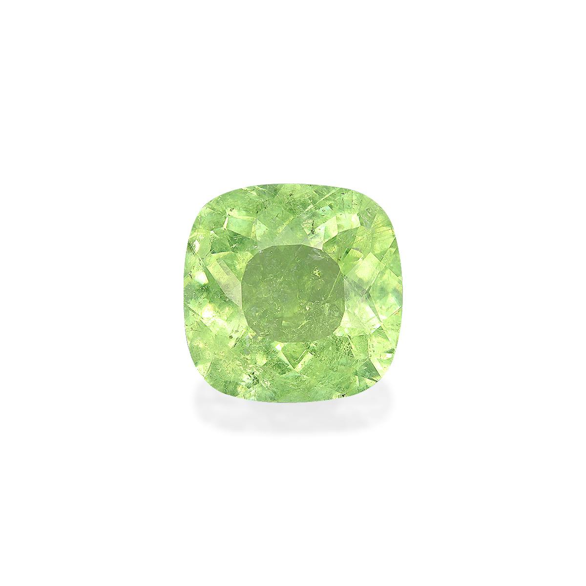 Paraiba Tourmaline 13.13 ct