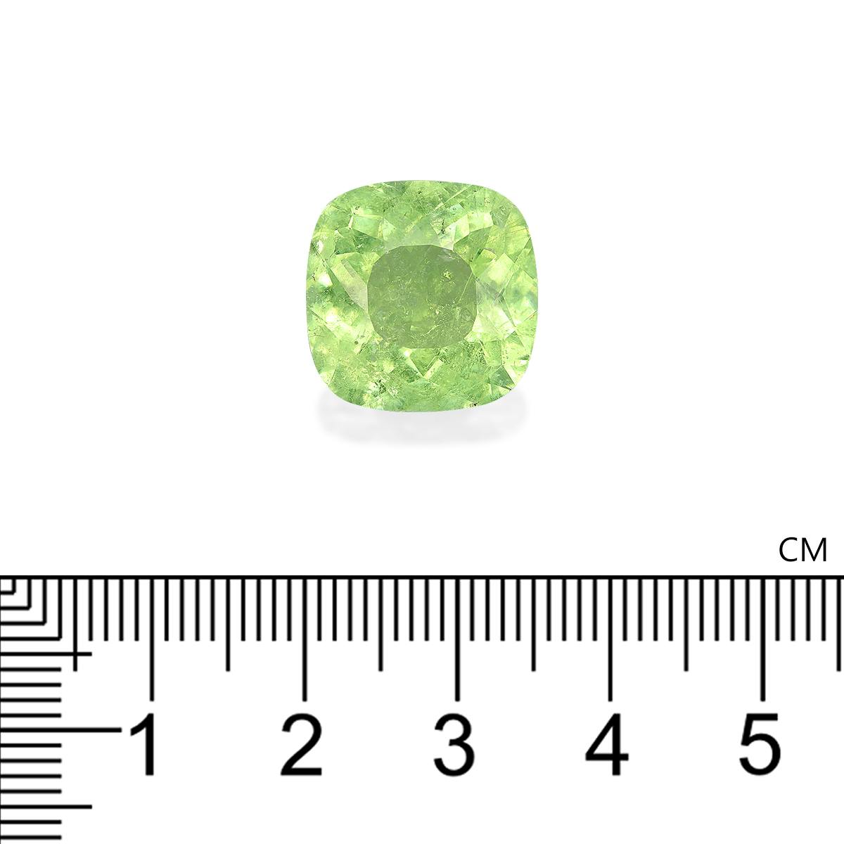 Paraiba Tourmaline 13.13 ct