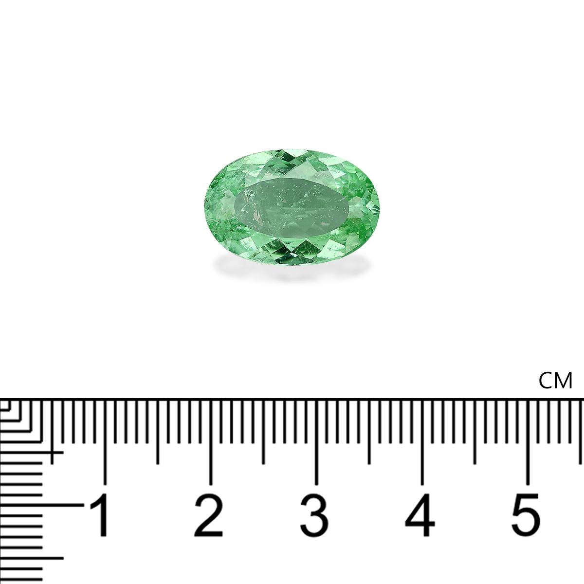 Paraiba Tourmaline 7.30 ct