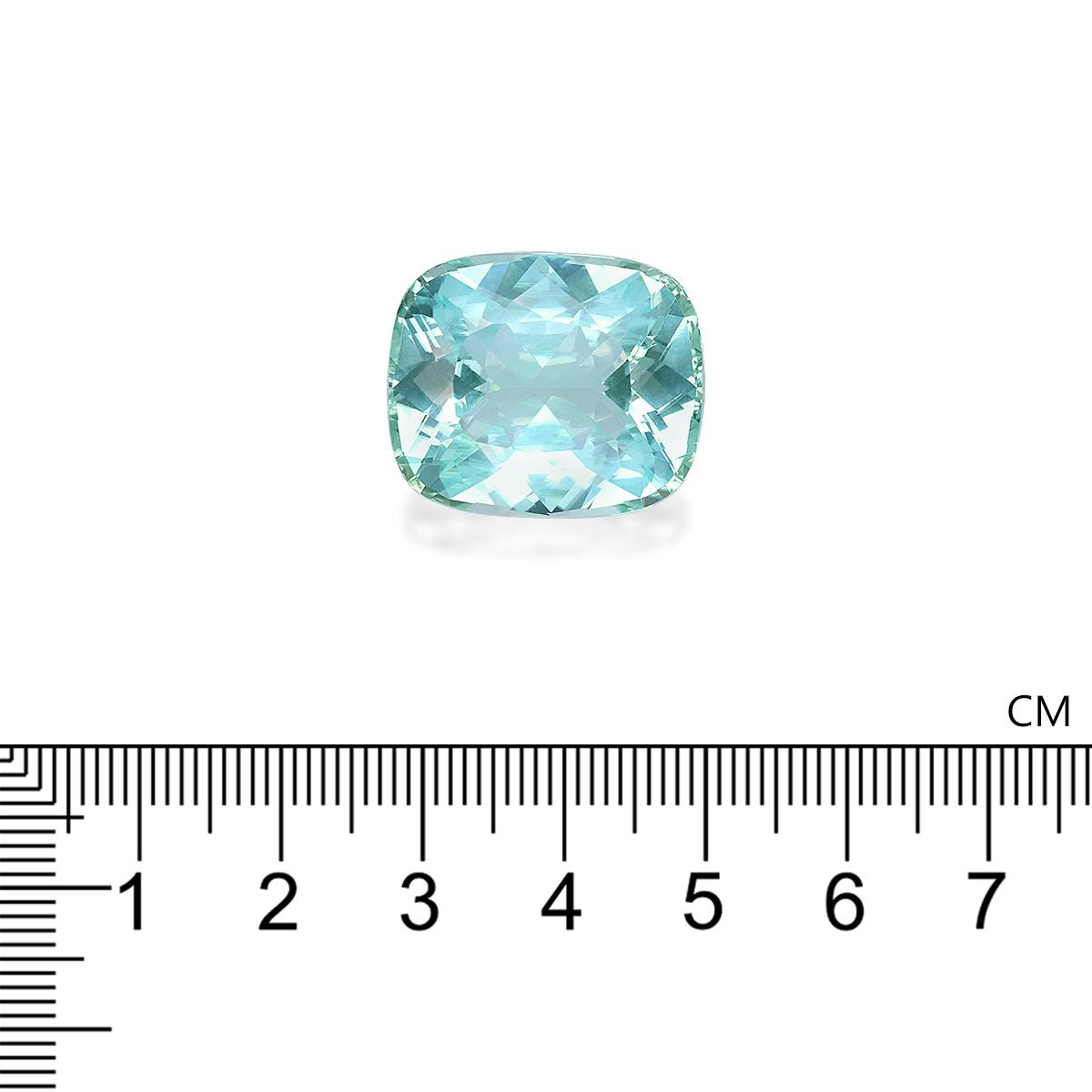 Paraiba Tourmaline 42.15 ct