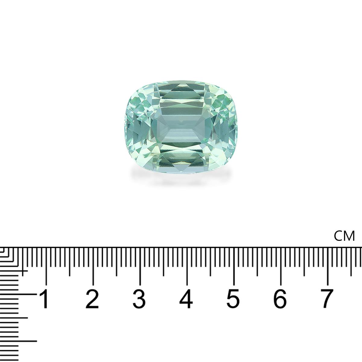 Paraiba Tourmaline 59.92 ct