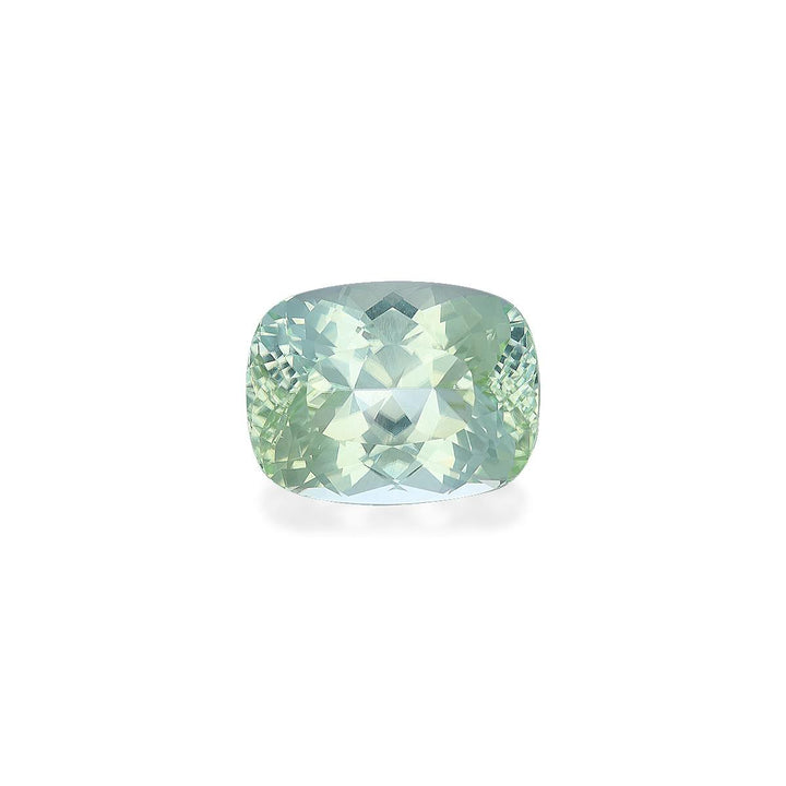 Paraiba Tourmaline 16.30 ct