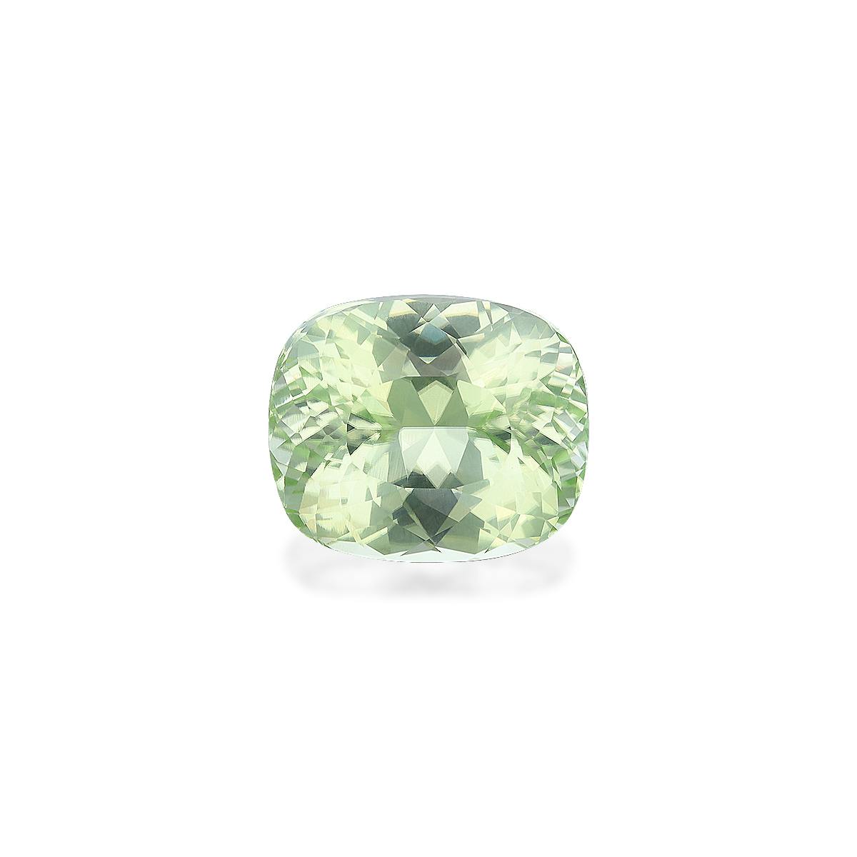 Paraiba Tourmaline 13.58 ct