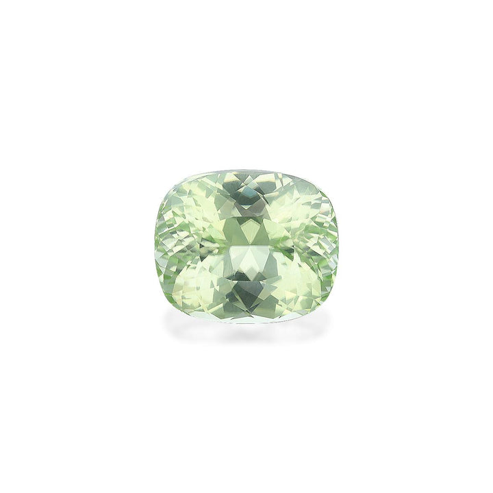 Paraiba Tourmaline 13.58 ct