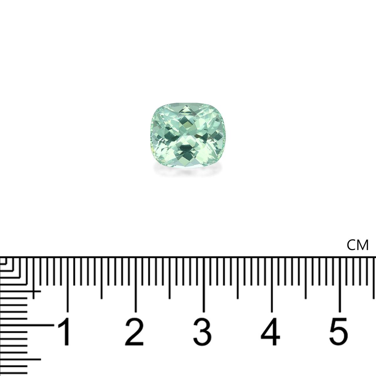 Paraiba Tourmaline 5.64 ct