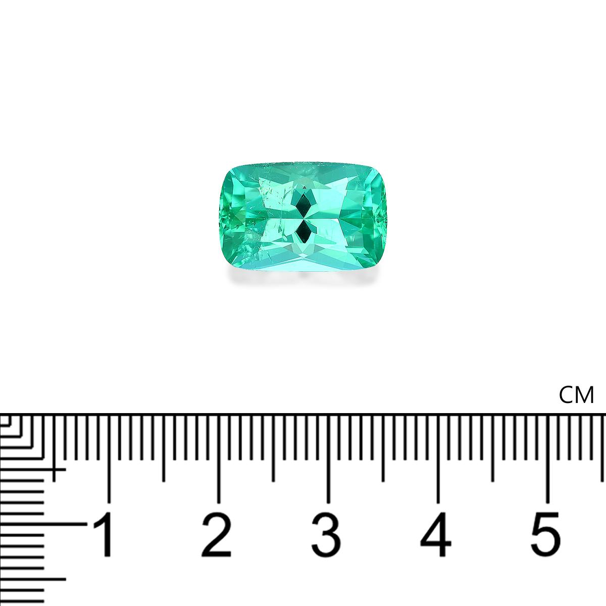 Paraiba Tourmaline 8.90 ct