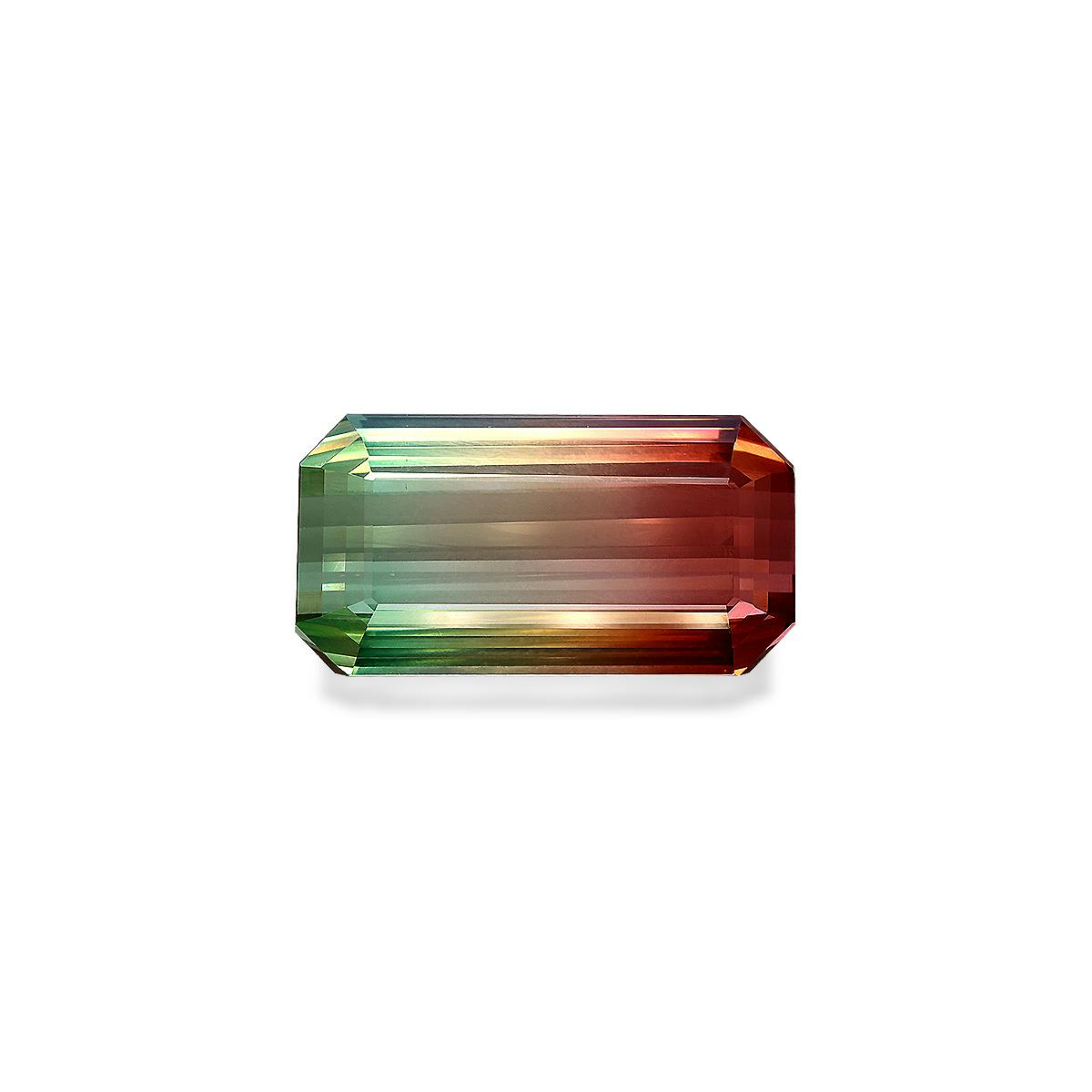 Bi Colour Tourmaline 71.02 ct