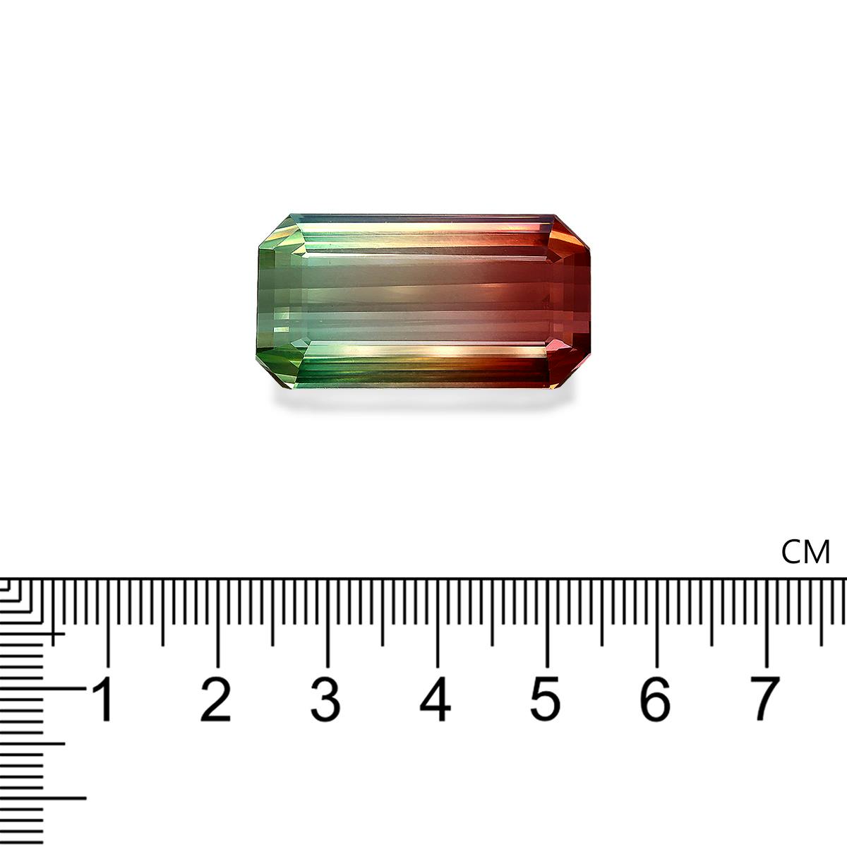 Bi Colour Tourmaline 71.02 ct