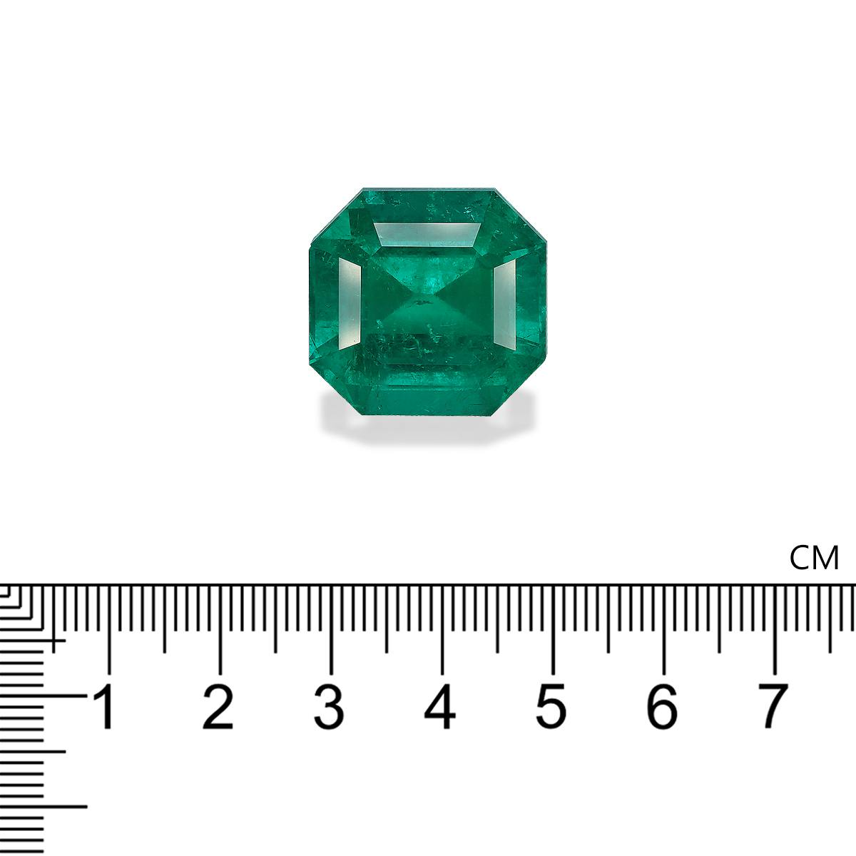 Colombian Emerald 39.46 ct