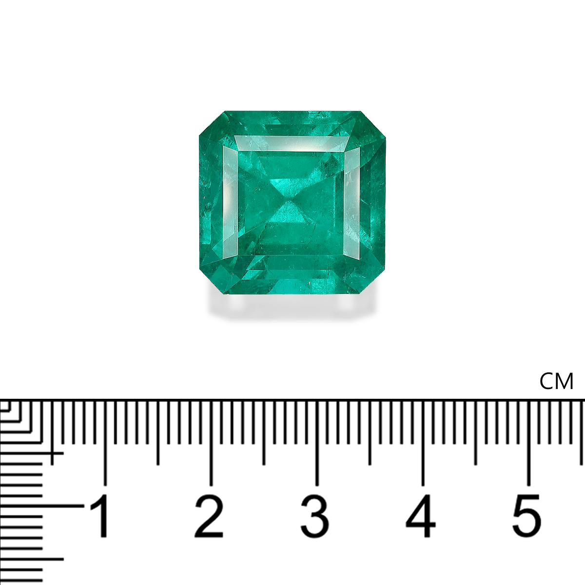 Colombian Emerald 23.00 ct