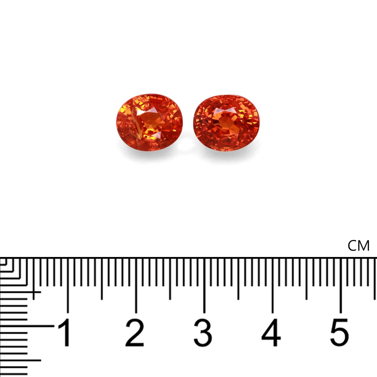Spessartite Garnet 10.72 ct