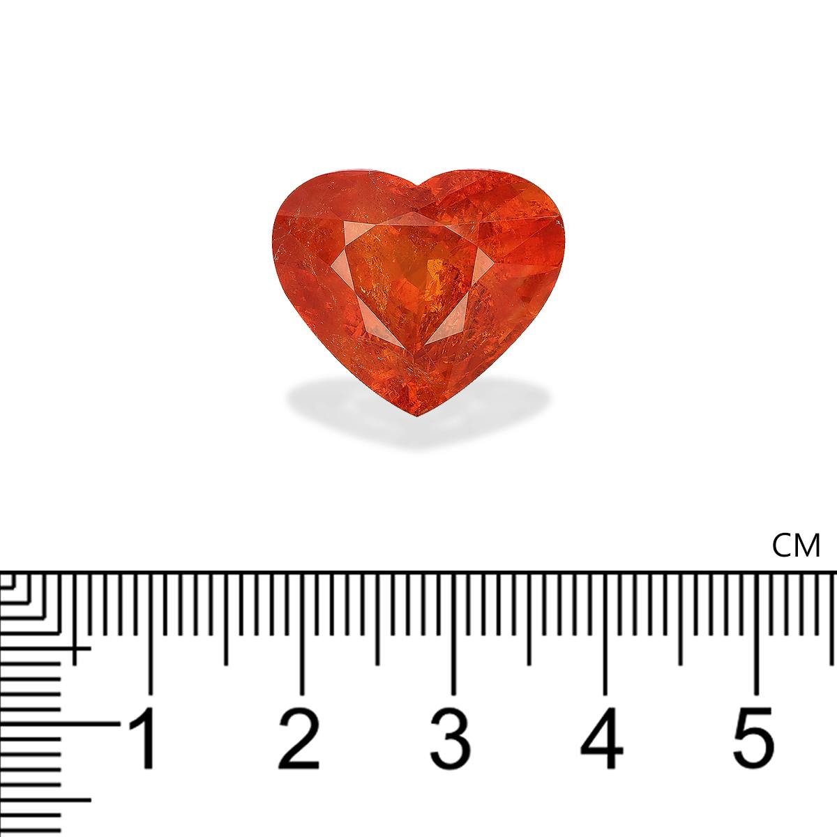 Spessartite Garnet 25.73 ct