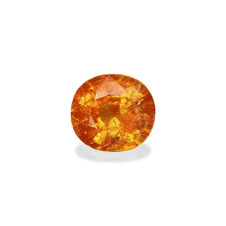 Spessartite Garnet 8.83 ct