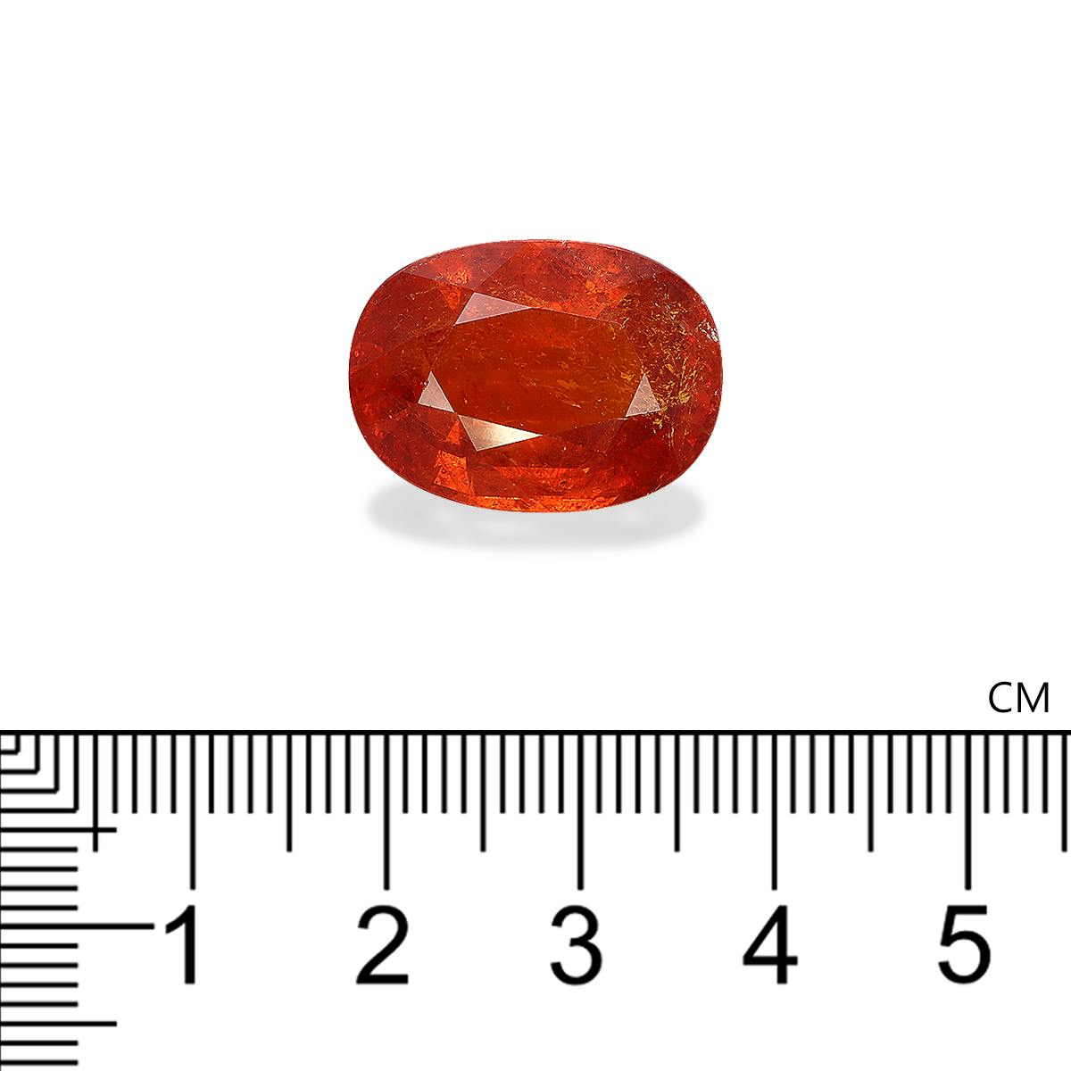Spessartite Garnet 25.24 ct