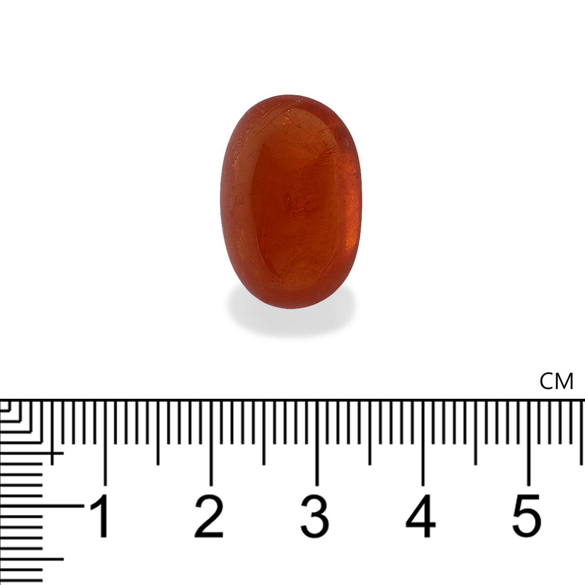 Spessartite Garnet 30.76 ct
