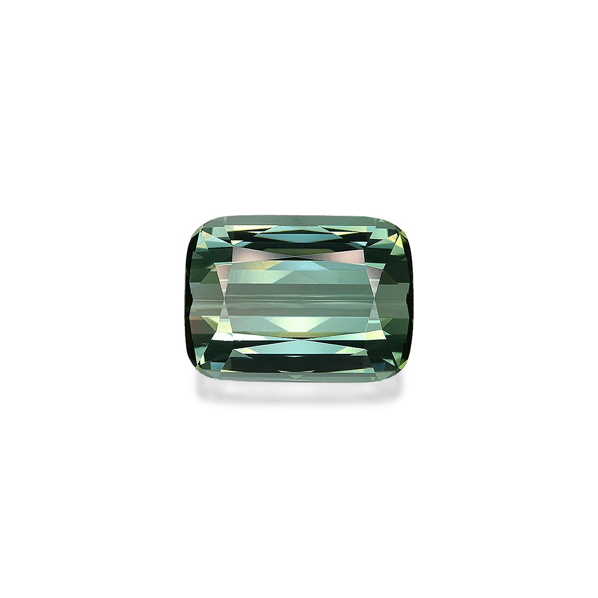 Green Tourmaline 55.36 ct