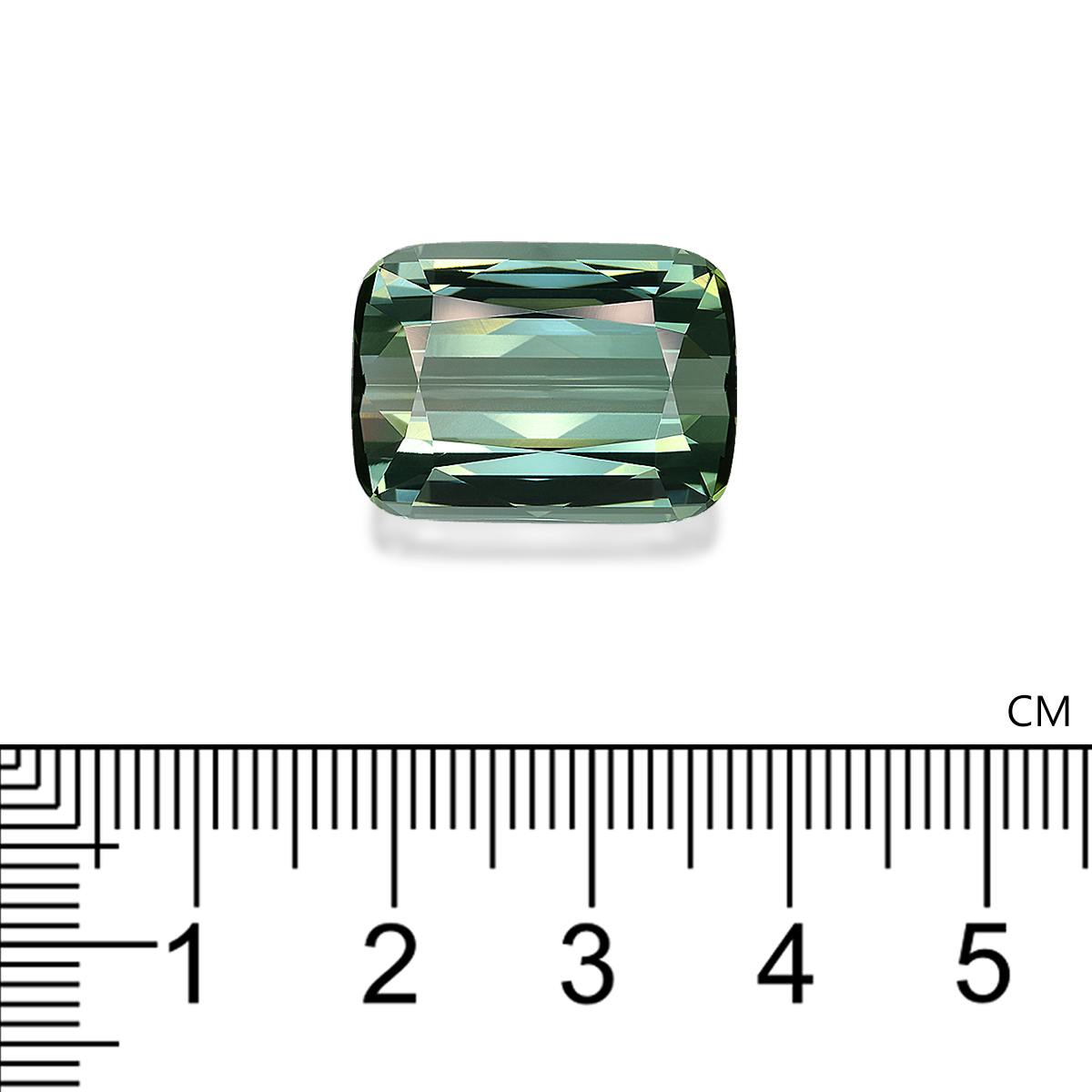 Green Tourmaline 55.36 ct