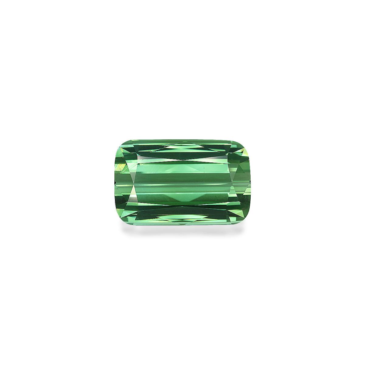 Green Tourmaline 42.60 ct