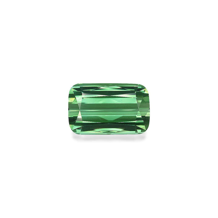 Green Tourmaline 42.60 ct