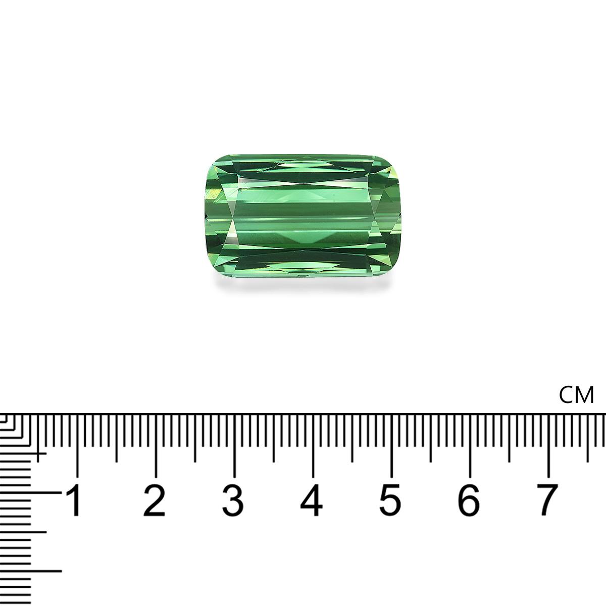 Green Tourmaline 42.60 ct
