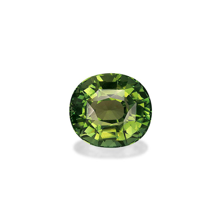 Green Tourmaline 25.28 ct