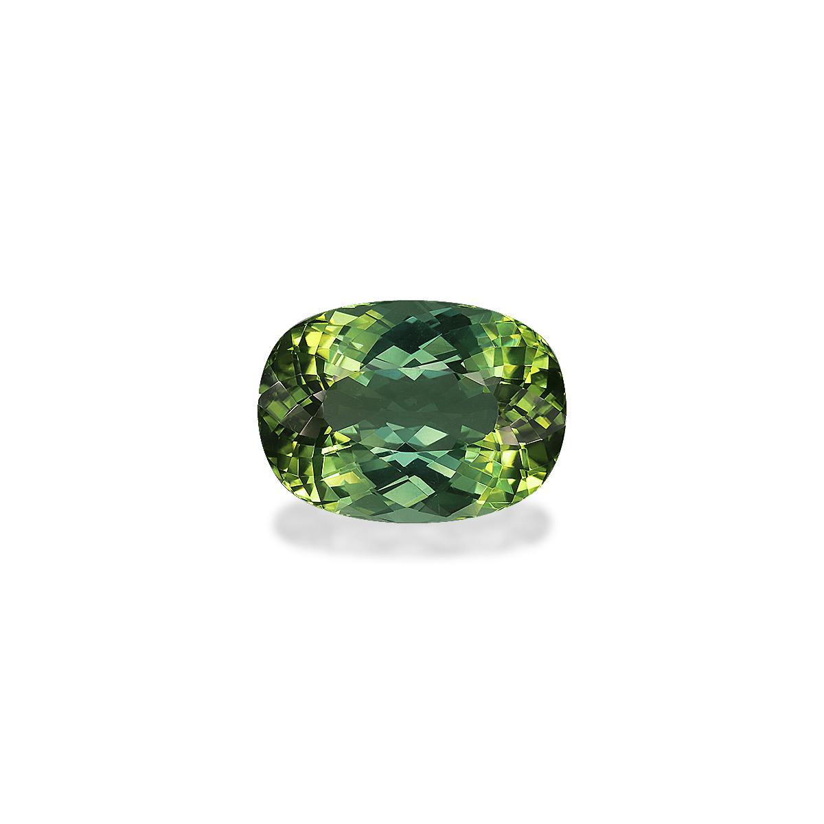 Green Tourmaline 12.51 ct