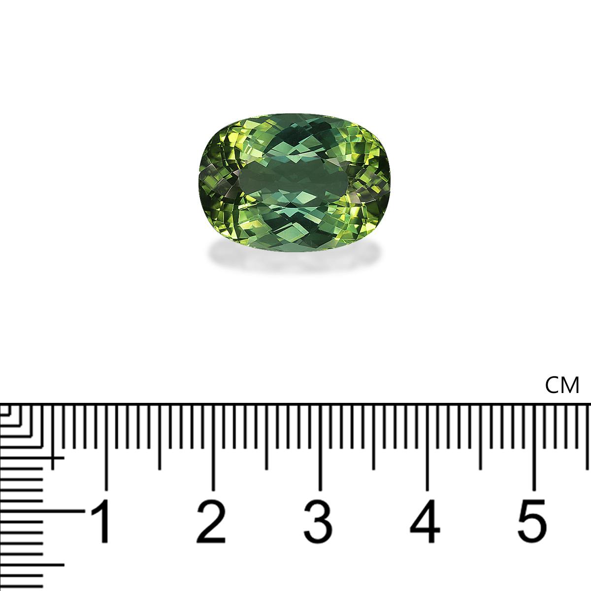 Green Tourmaline 12.51 ct