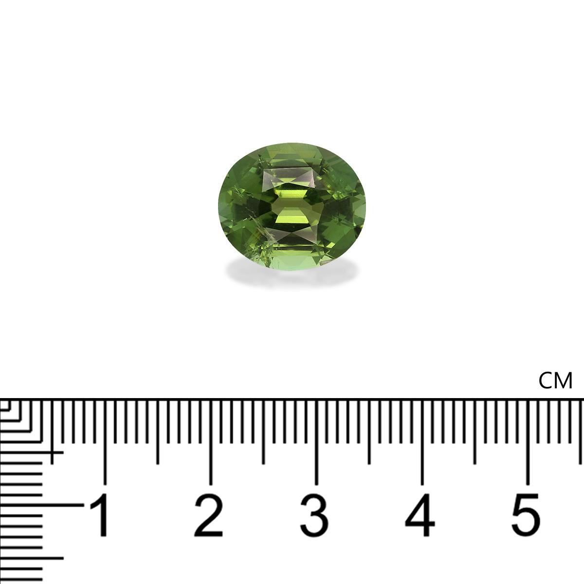 Green Tourmaline 7.91 ct