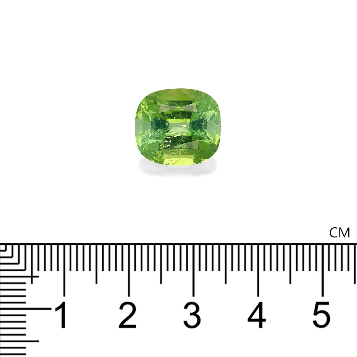 Green Tourmaline 8.55 ct