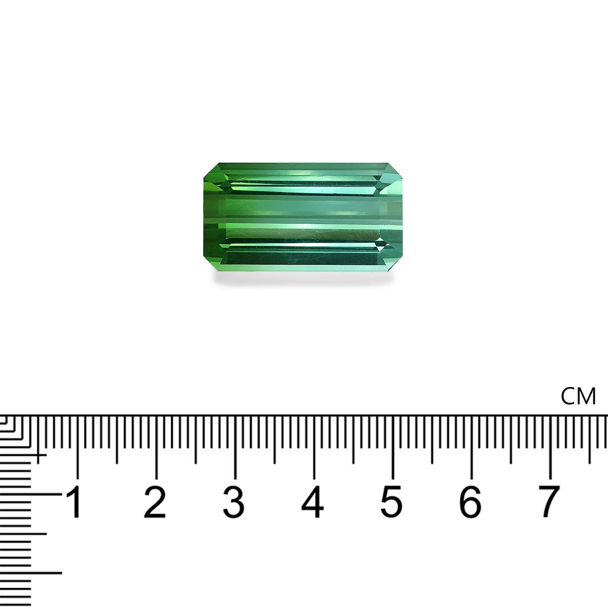 Green Tourmaline 31.98 ct