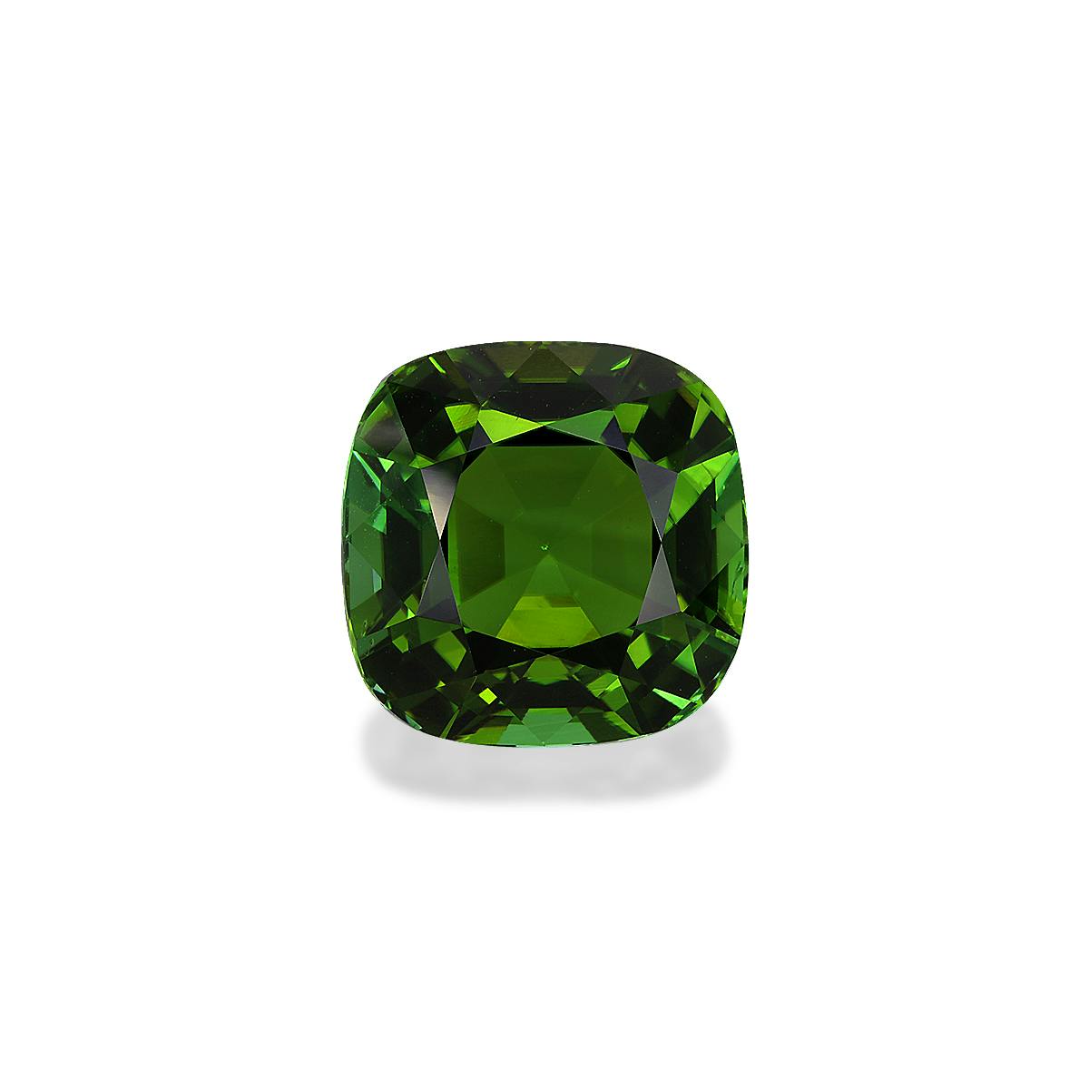 Green Tourmaline 12.76 ct