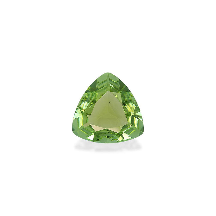 Green Tourmaline 6.60 ct