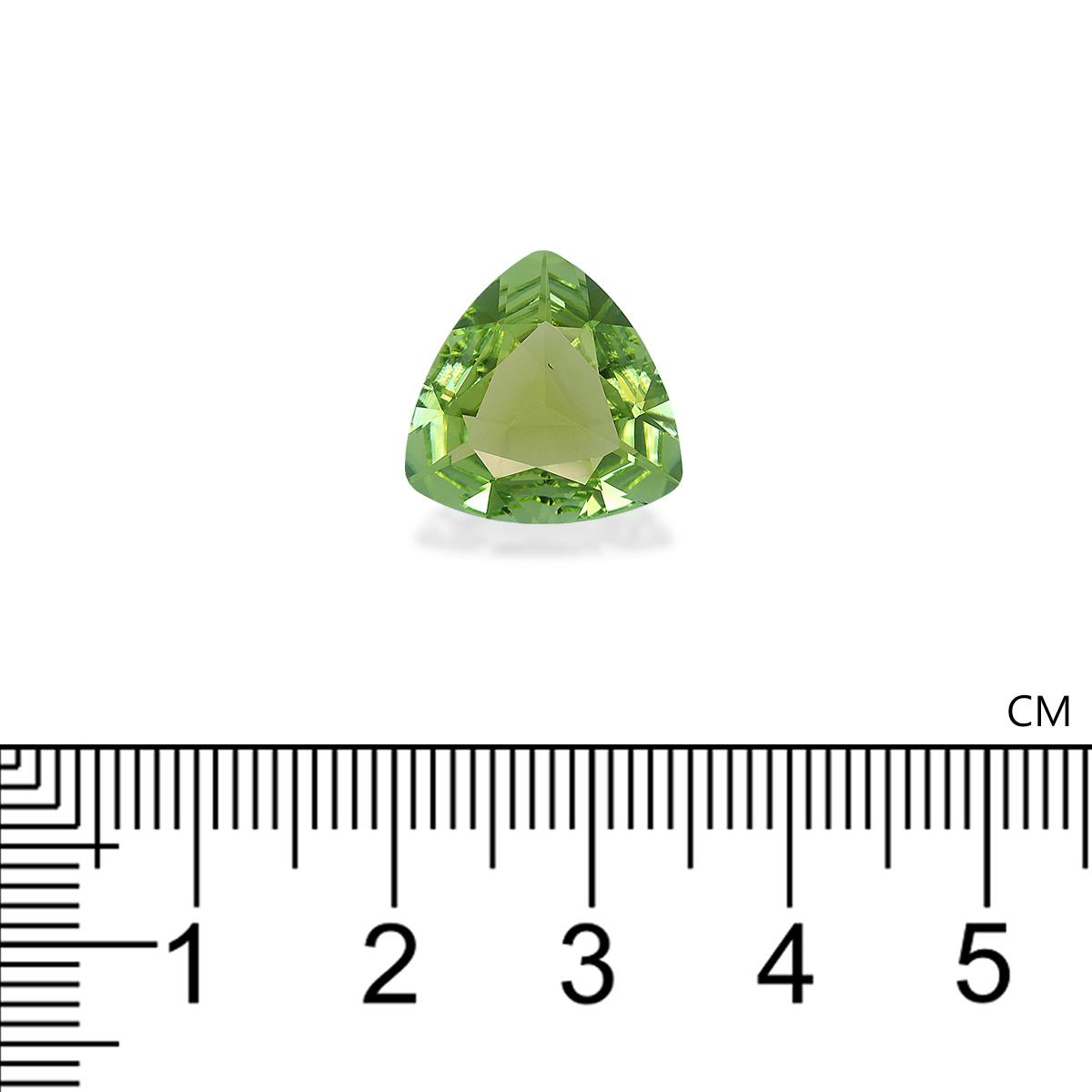 Green Tourmaline 6.60 ct