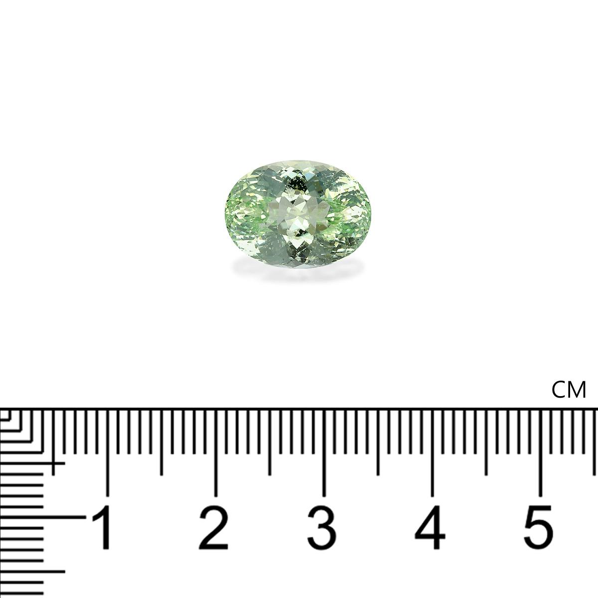 Green Tourmaline 7.33 ct