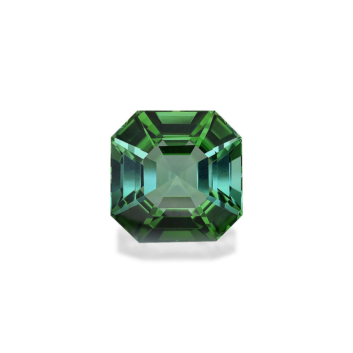 Green Tourmaline 21.90 ct