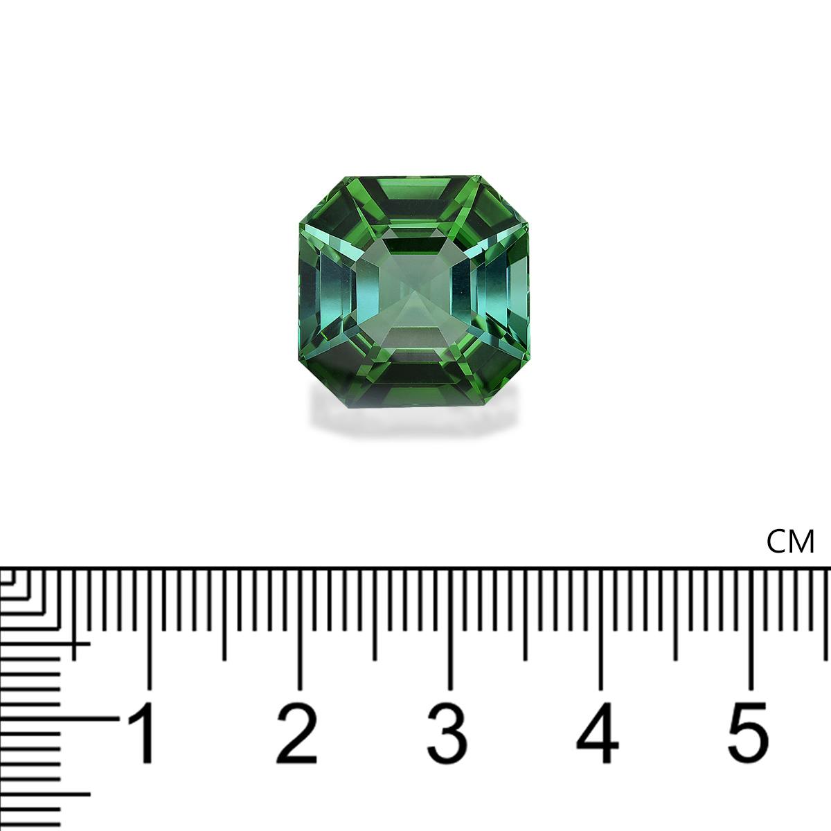 Green Tourmaline 21.90 ct