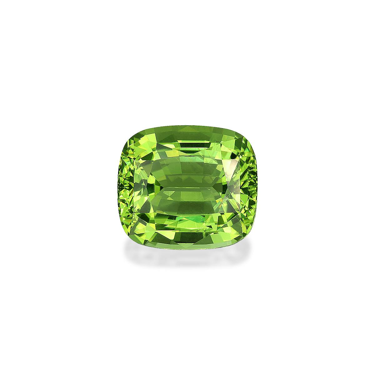 Green Tourmaline 16.23 ct