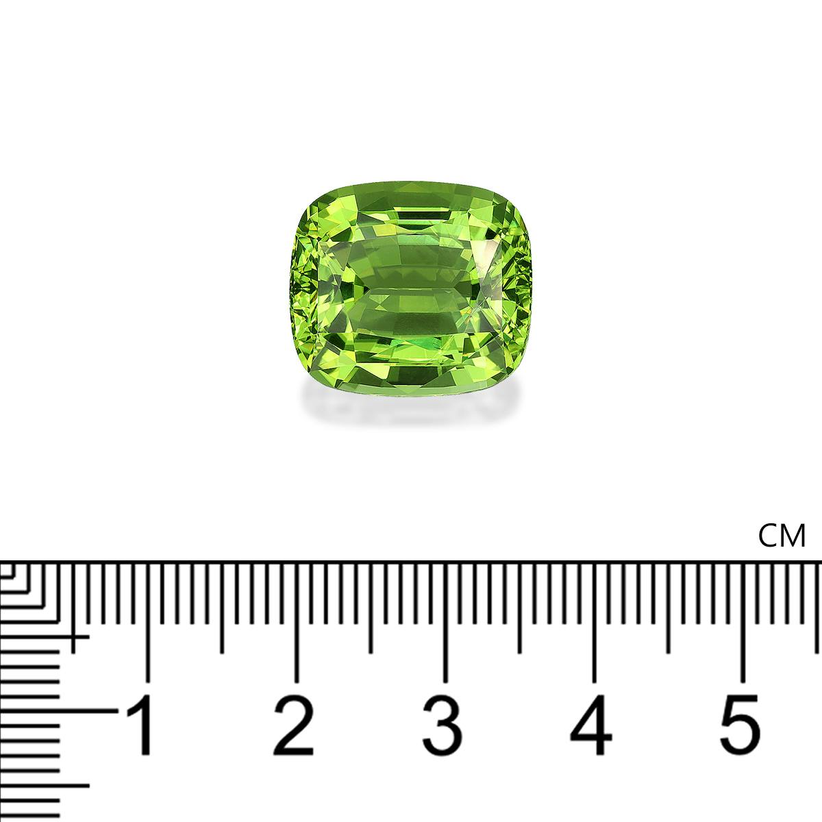 Green Tourmaline 16.23 ct